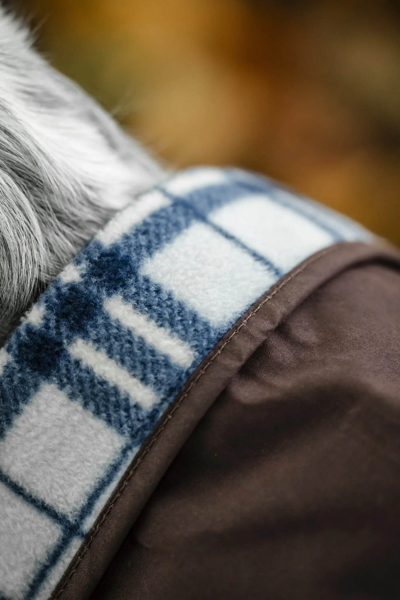 Horseware Newmarket Heritage Dog Coat