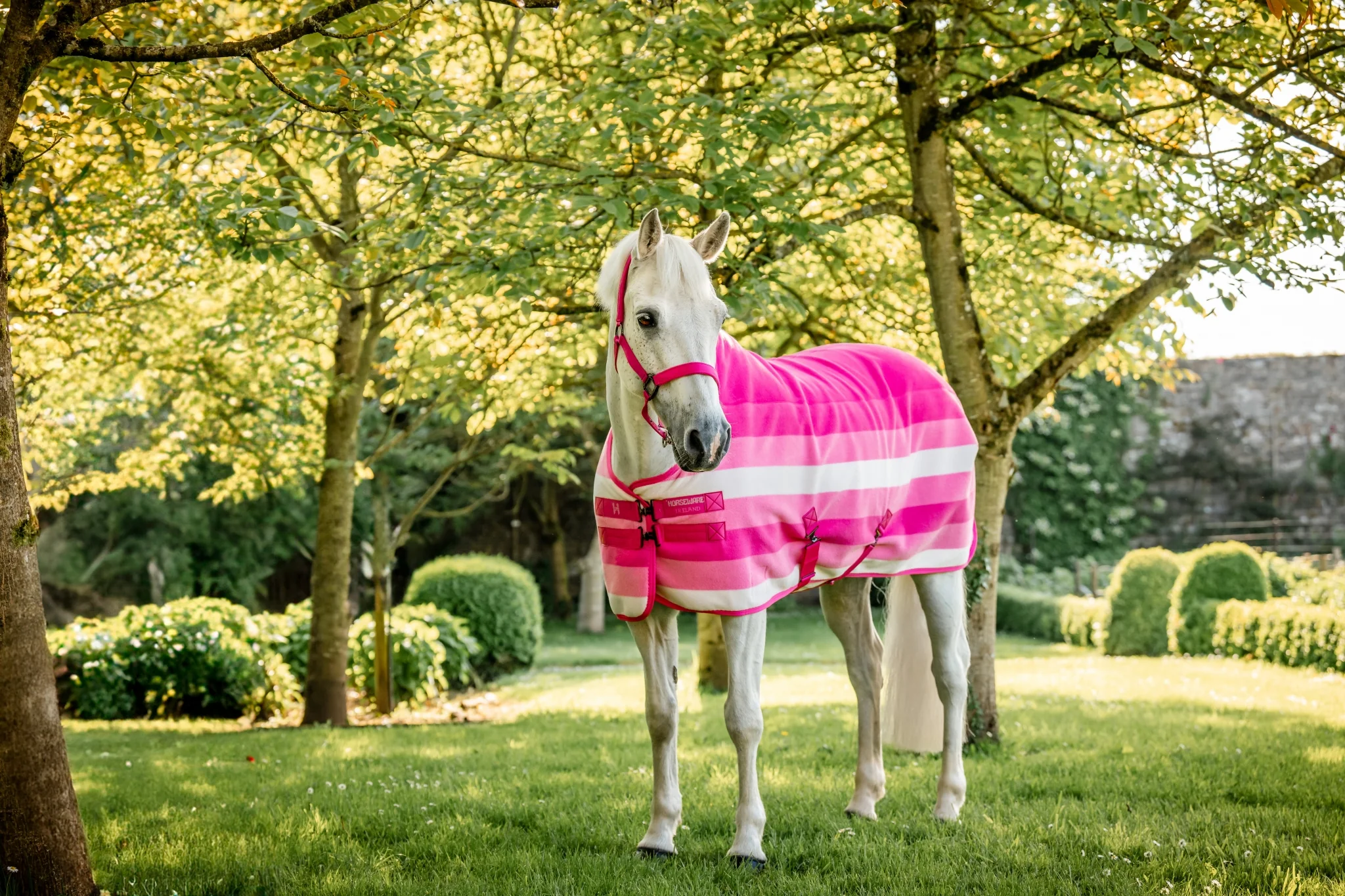 5487-horseware-newmarket-pony-fleece-cooler-3.webp Horseware Newmarket Pony Fleece Cooler