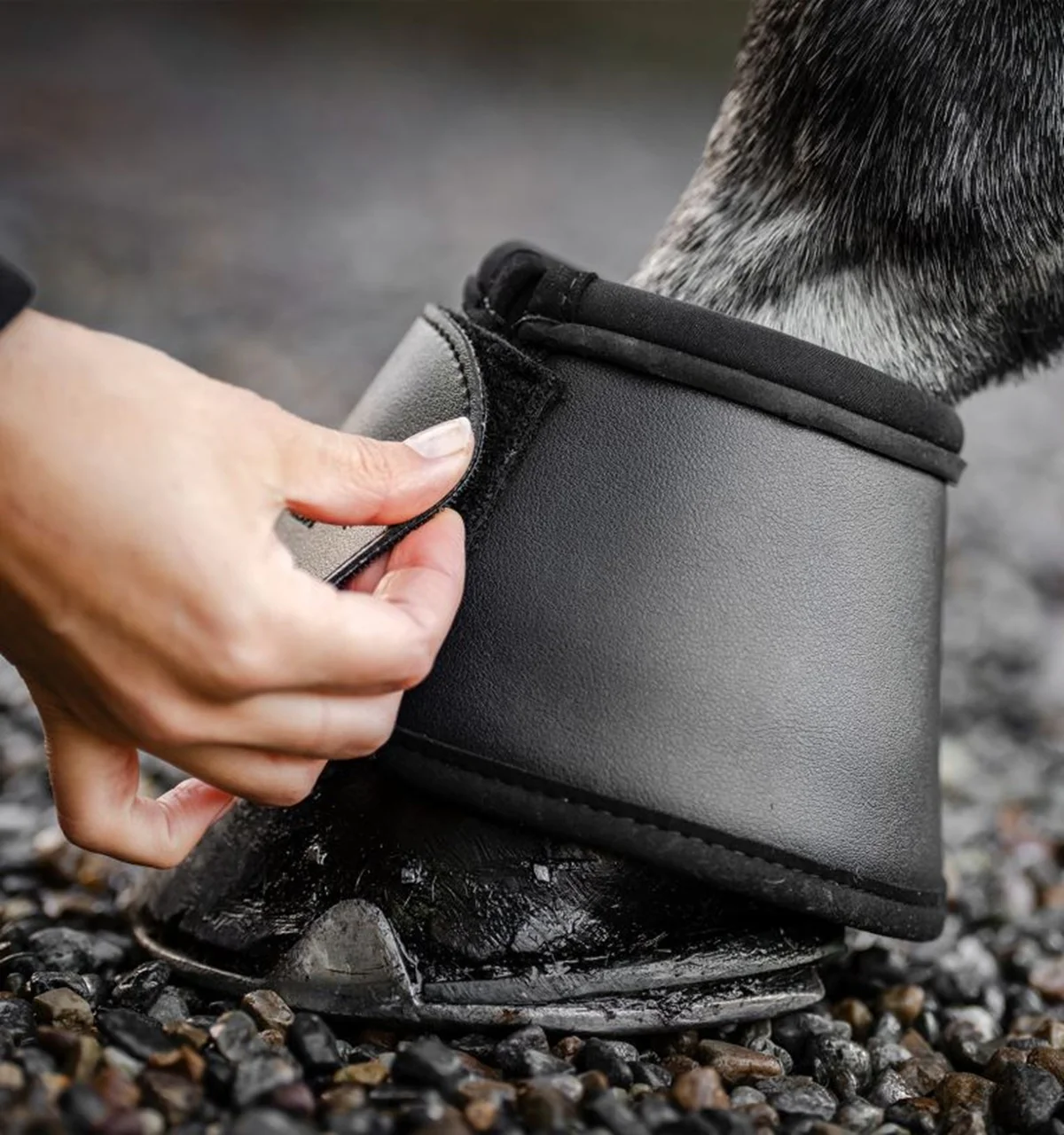 5539-horseware-overreach-boots-3.webp Horseware Overreach Boots