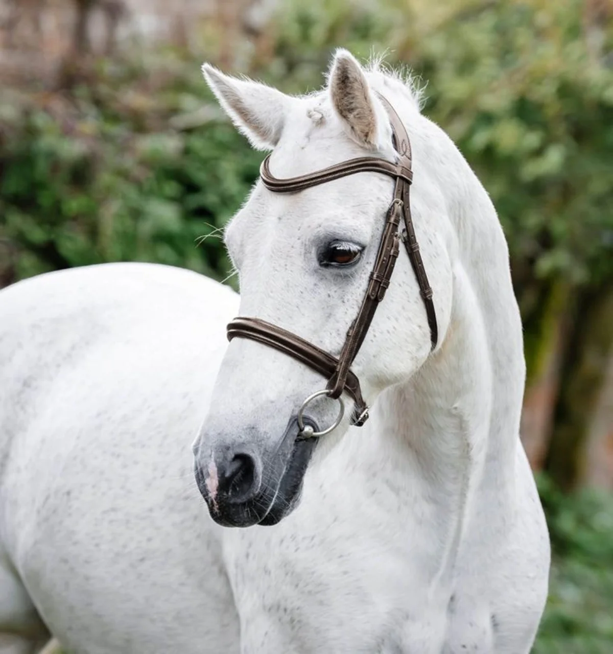 5563-horseware-pony-cavesson-bridle-2.webp Horseware Pony Cavesson Bridle