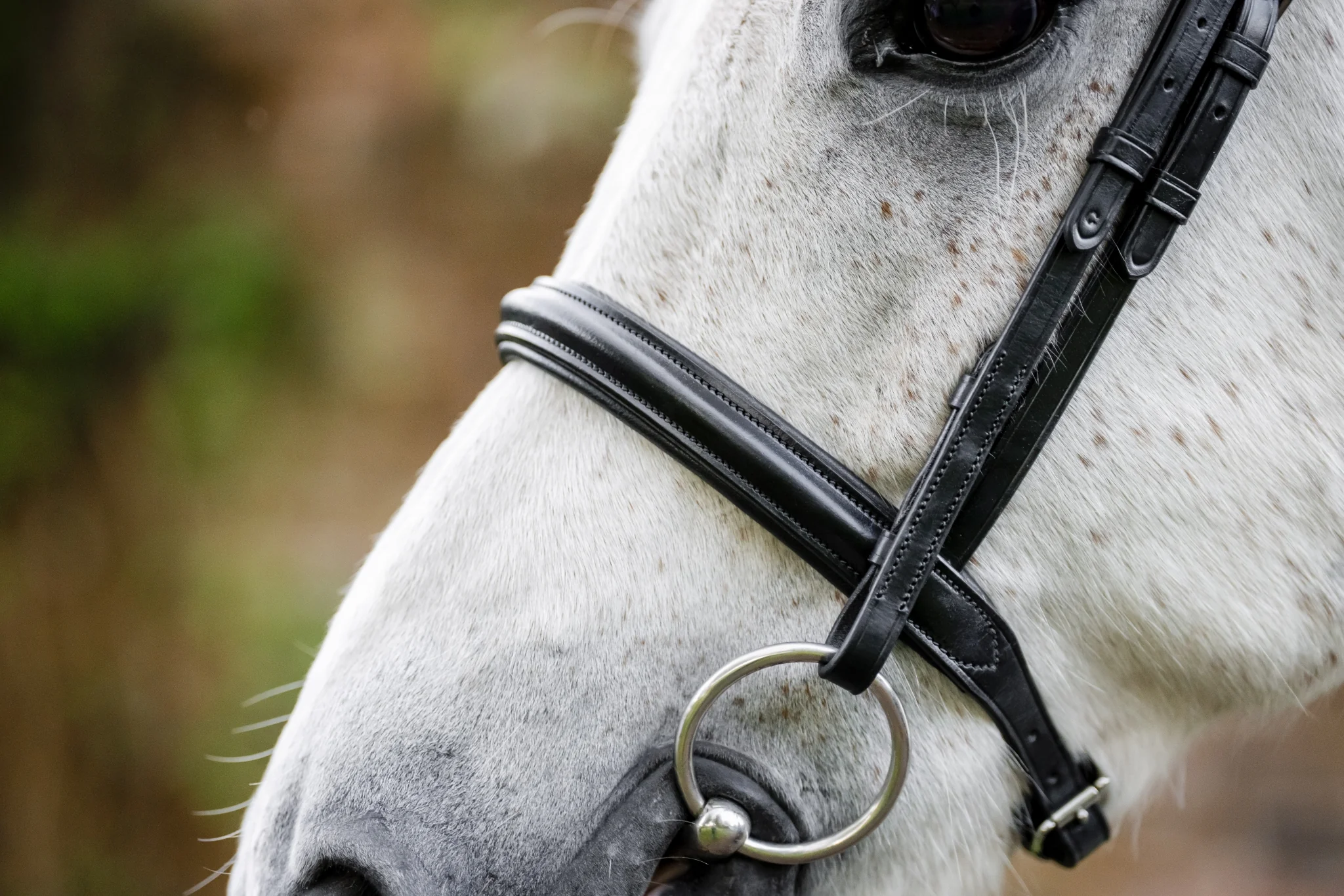 5563-horseware-pony-cavesson-bridle-3.webp Horseware Pony Cavesson Bridle