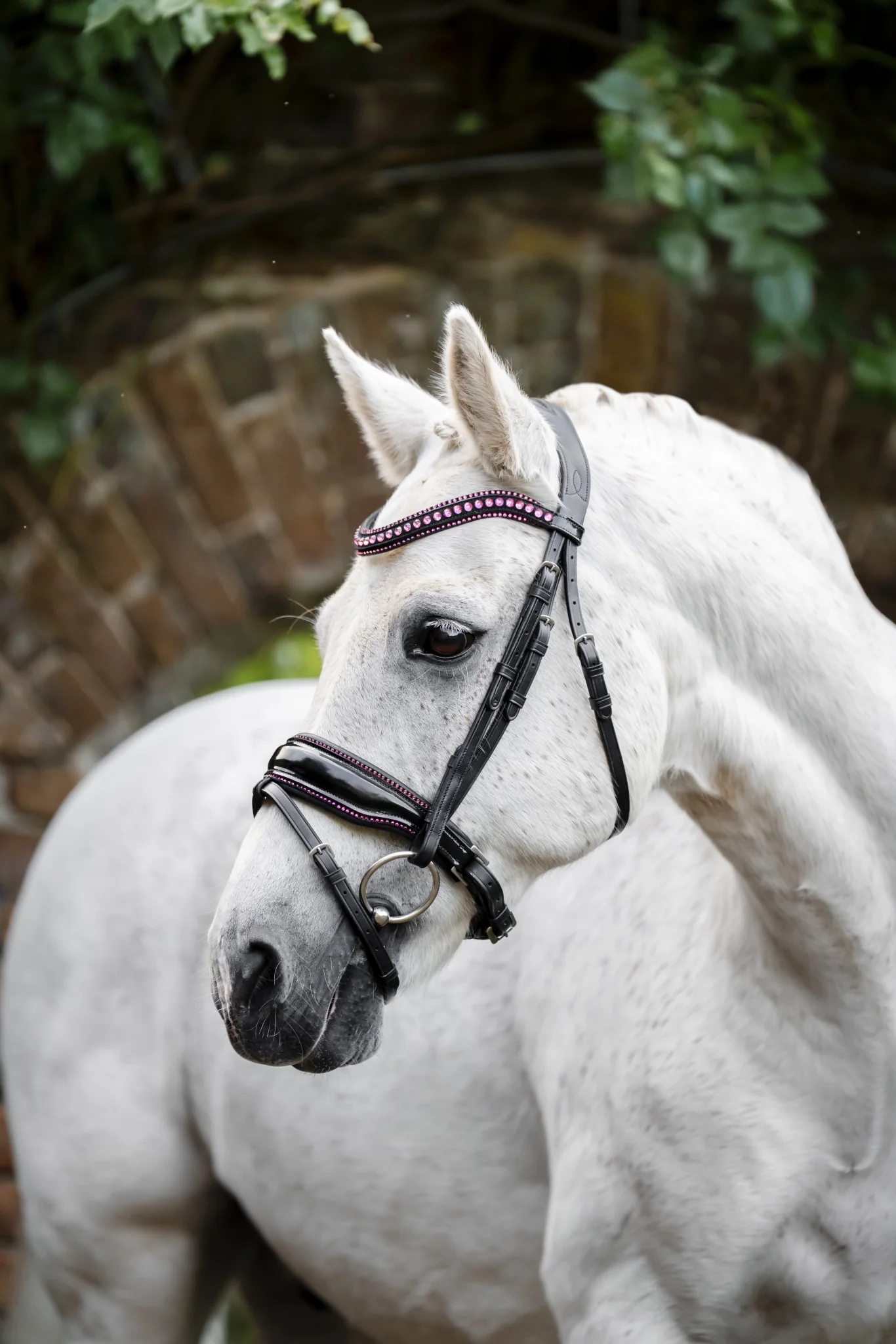 5570-horseware-pony-diamante-flash-bridle-1.webp Horseware Pony Diamante Flash Bridle