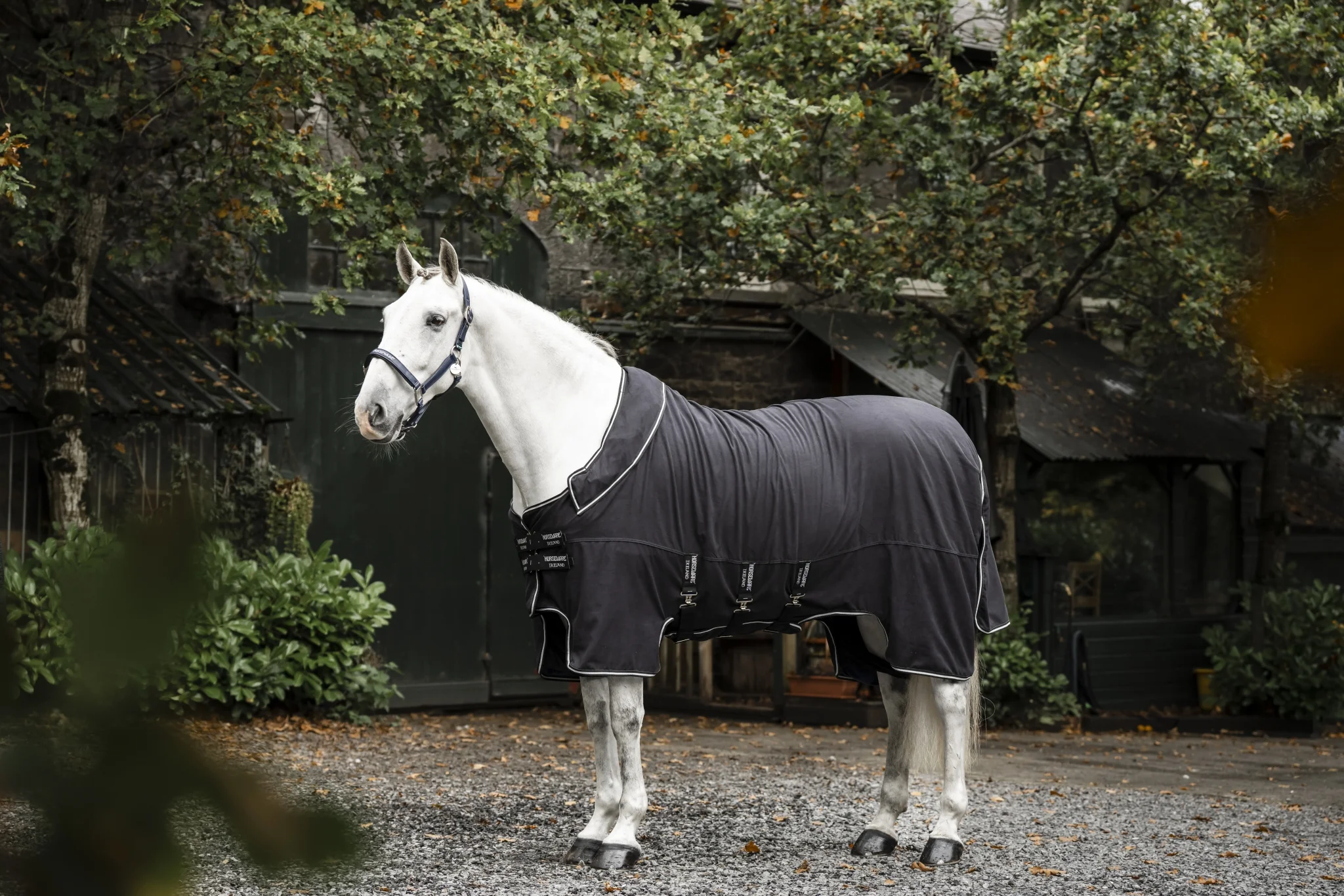 Horseware Show Ready Blanket