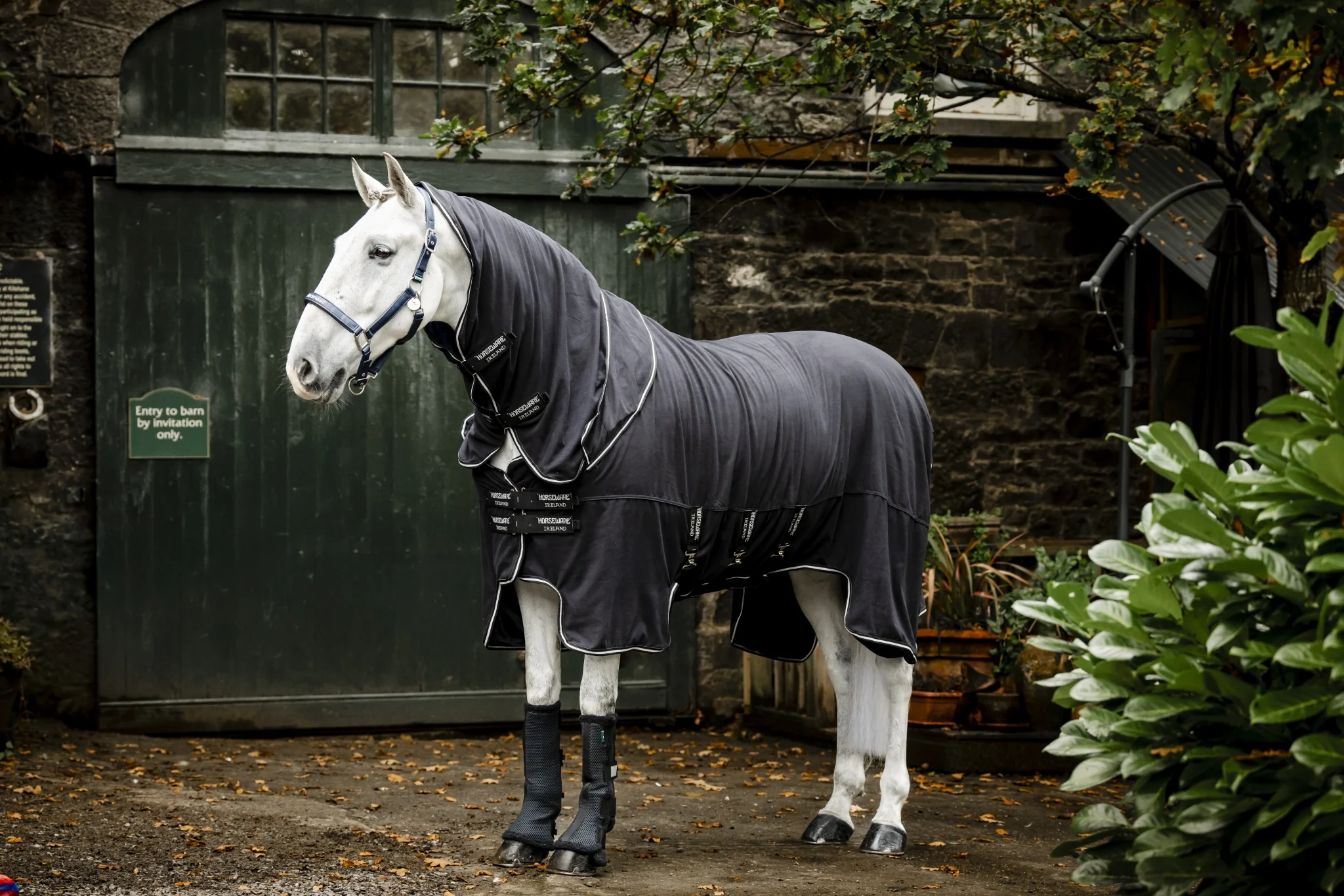 Horseware Show Ready Blanket