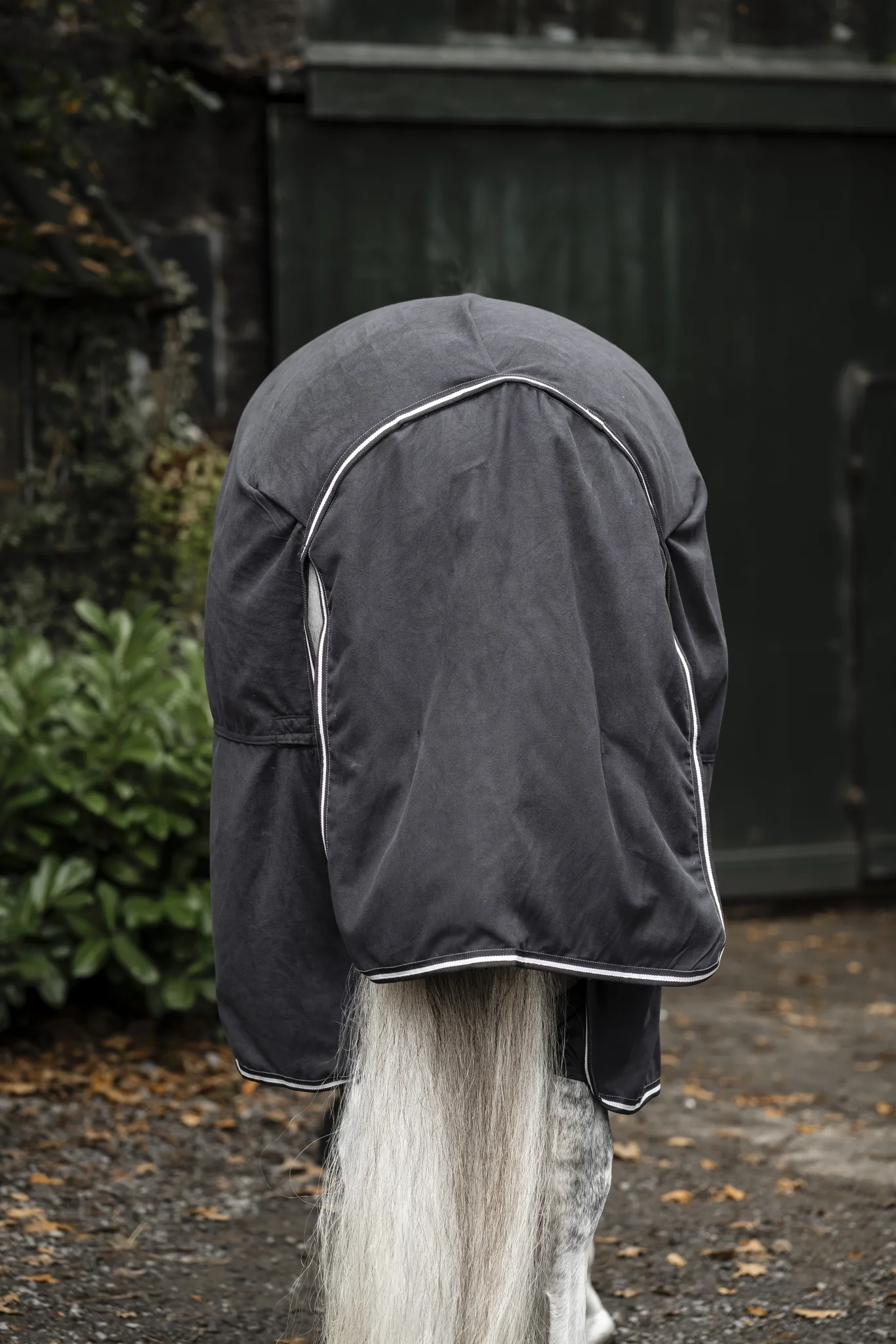Horseware Show Ready Blanket
