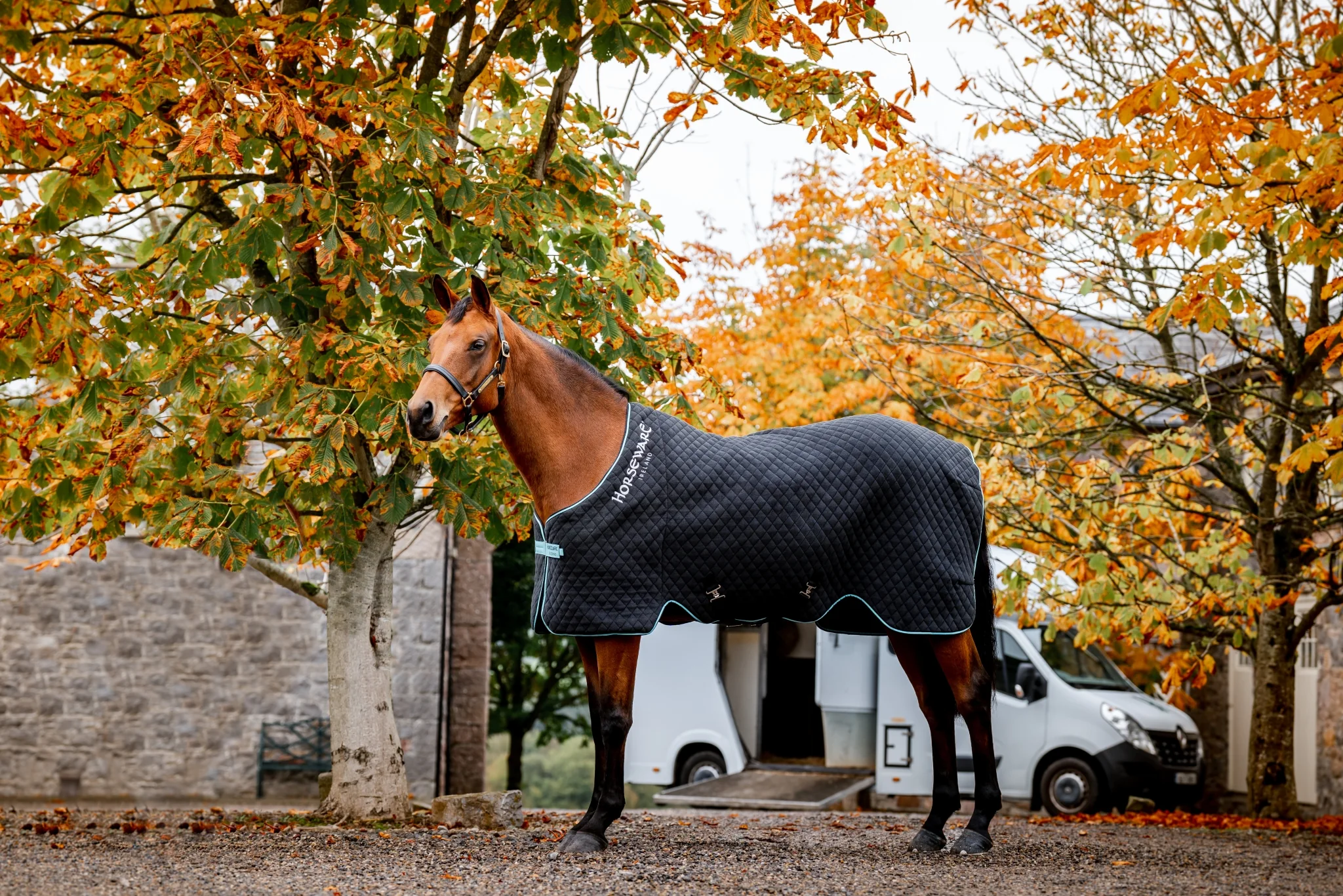 5661-horseware-thermal-cooler-1.webp Horseware Thermal Cooler
