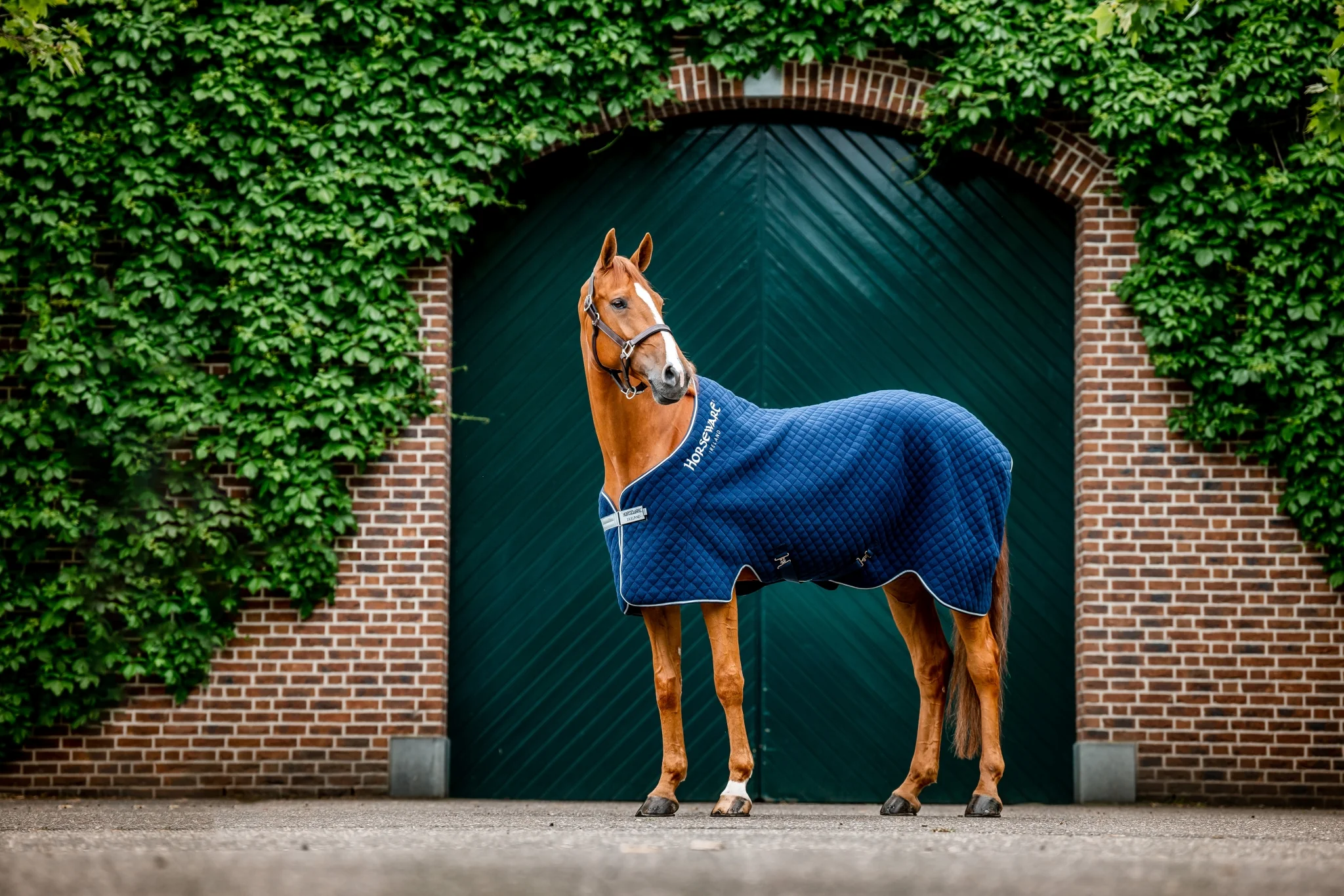 5661-horseware-thermal-cooler-2.webp Horseware Thermal Cooler