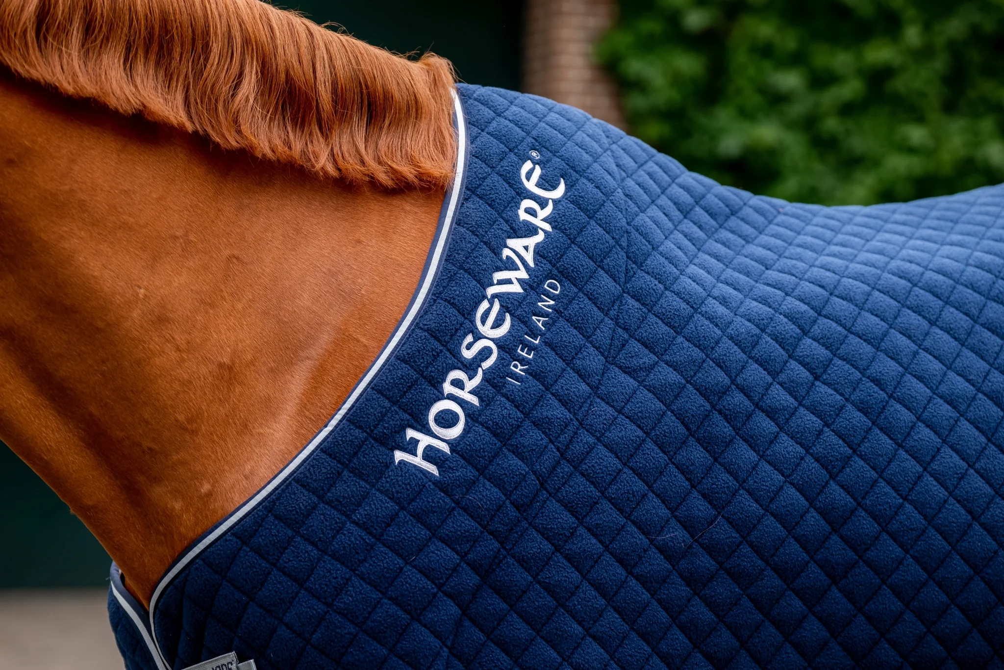 5661-horseware-thermal-cooler-6.webp Horseware Thermal Cooler