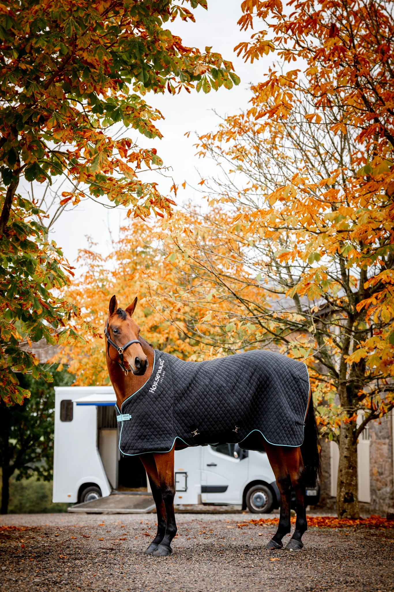 5661-horseware-thermal-cooler-7.webp Horseware Thermal Cooler