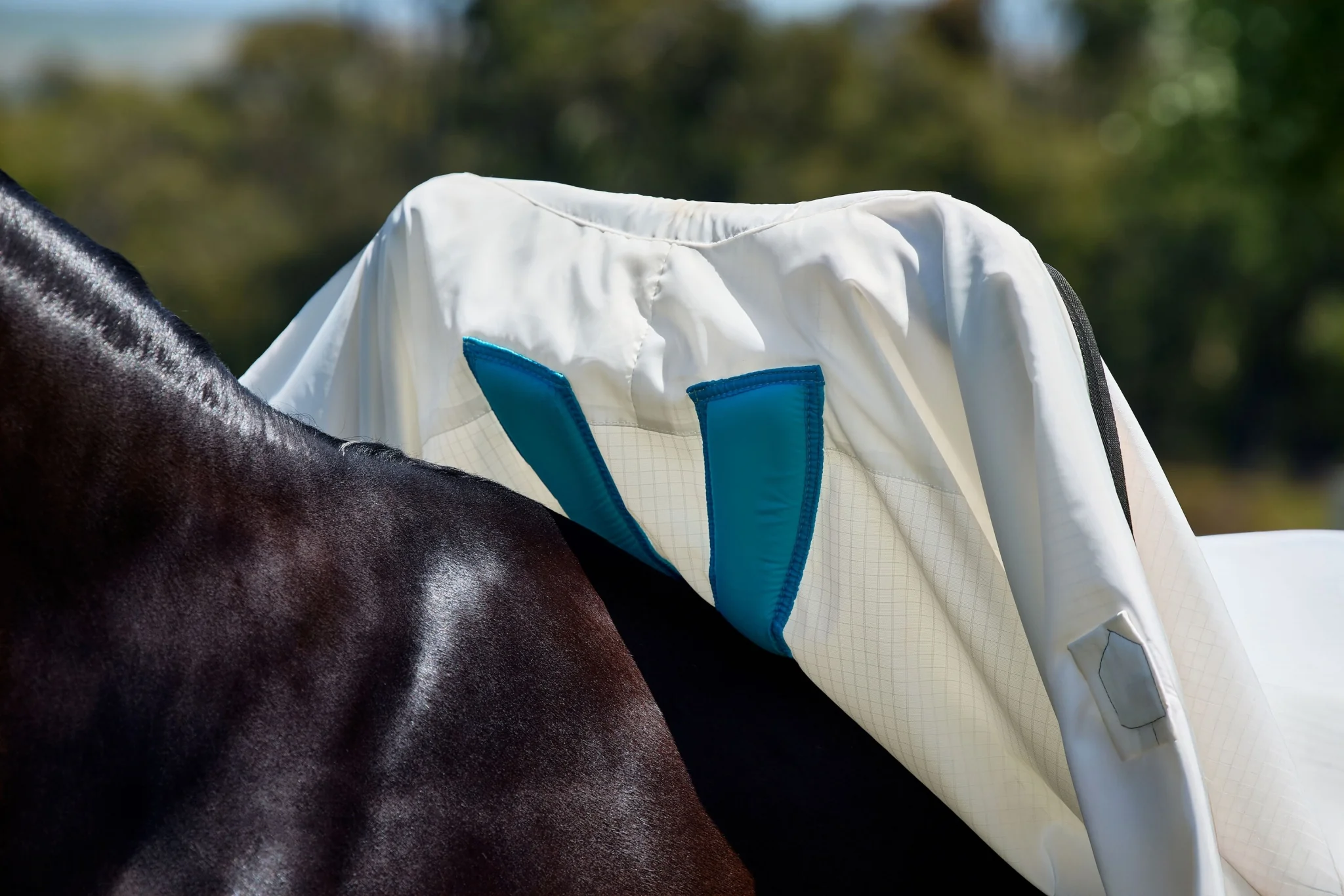 Weatherbeeta Sweet Itch Shield Combo Neck
