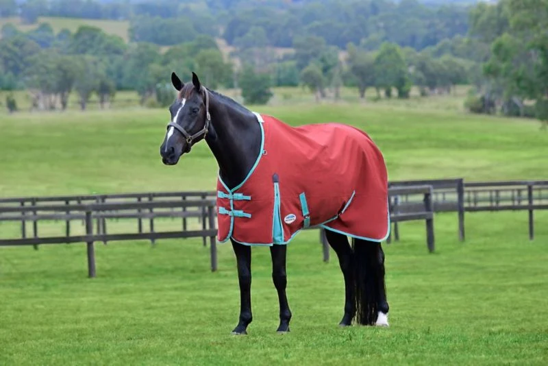 Weatherbeeta ComFiTec Essential Standard Neck Lite Blanket
