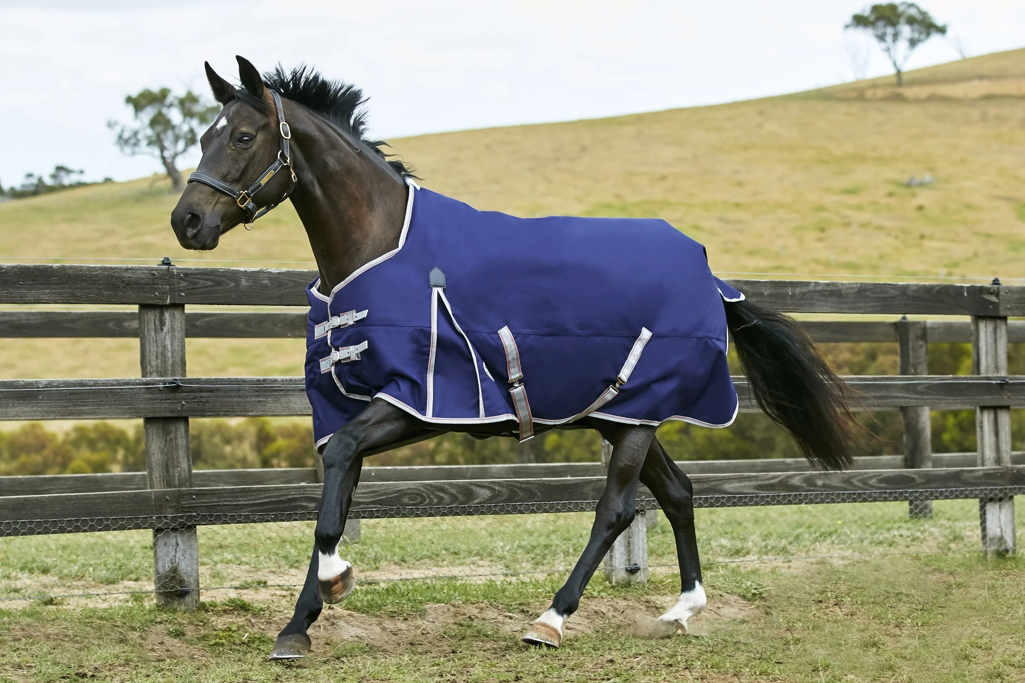 Weatherbeeta ComFiTec Essential Standard Neck Lite Blanket