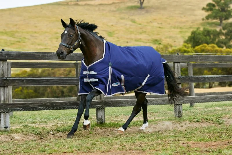 Weatherbeeta ComFiTec Essential Standard Neck Lite Blanket