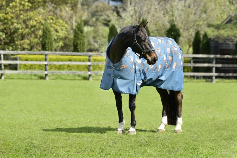 Weatherbeeta ComFiTec Essential Standard Neck Medium Turnout Blanket
