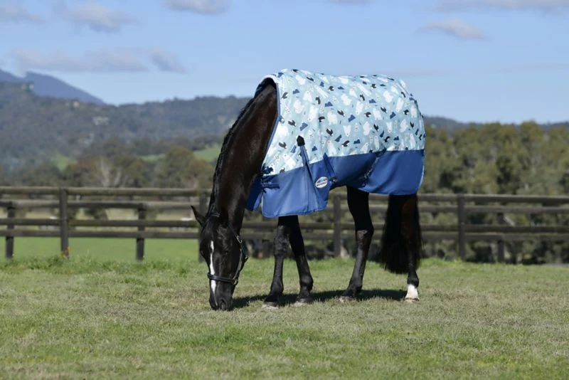 Weatherbeeta ComFiTec Essential Standard Neck Medium Turnout Blanket