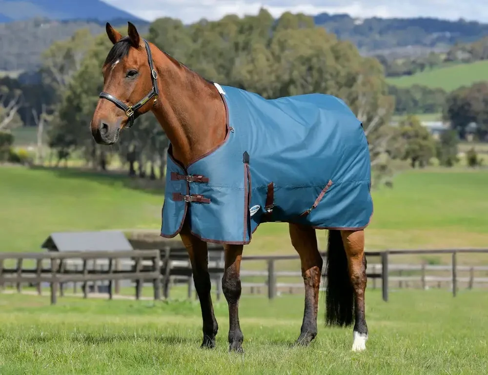 Weatherbeeta ComFiTec Classic Medium Turnout Blanket