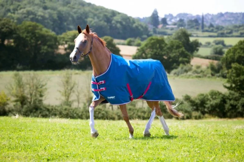 Shires Tempest Original Lite TO