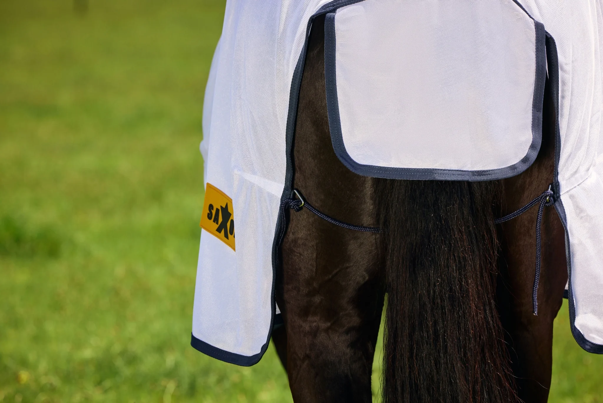 6228-saxon-mesh-combo-neck-fly-sheet-11.webp Saxon Mesh Combo Neck Fly Sheet