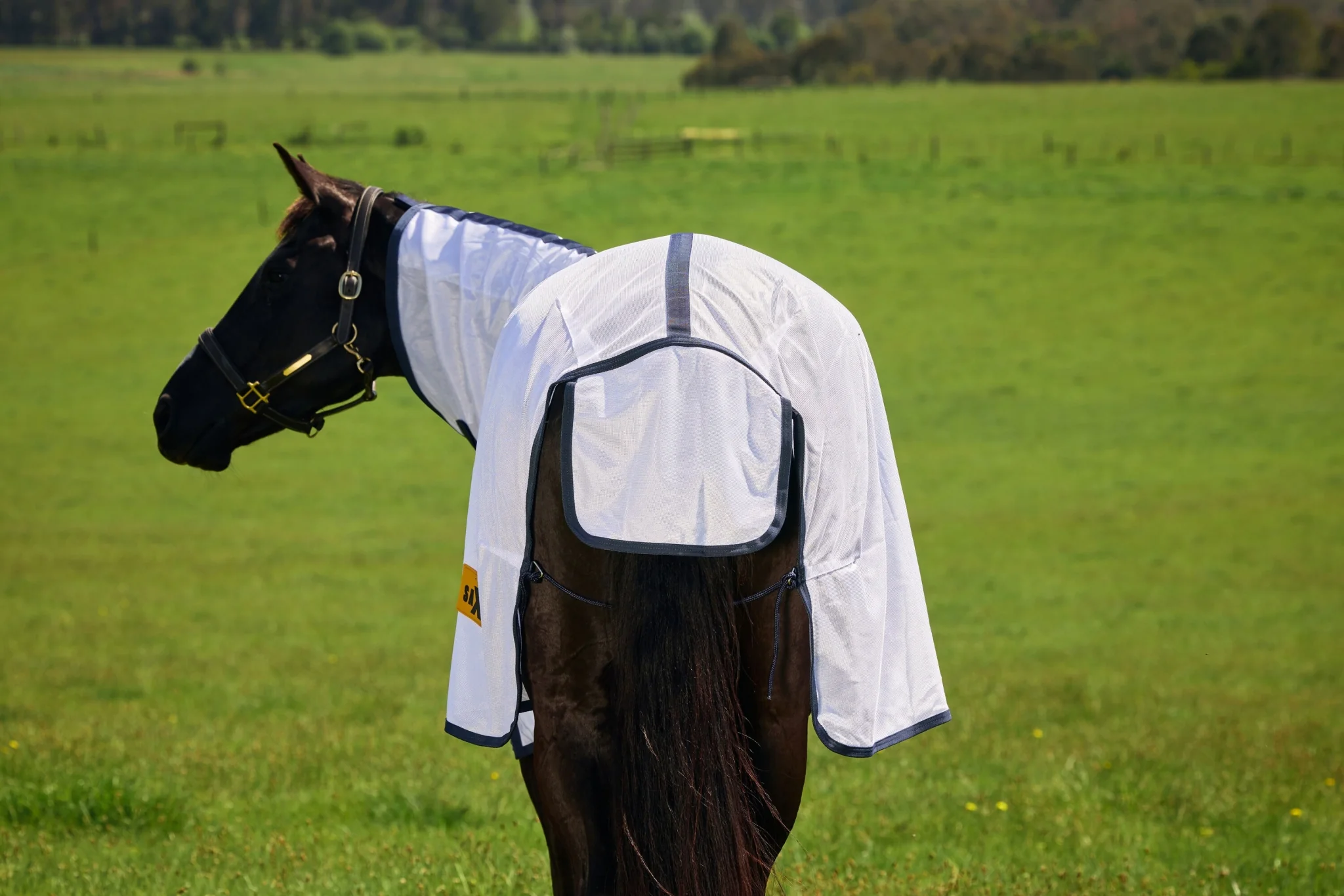 6228-saxon-mesh-combo-neck-fly-sheet-12.webp Saxon Mesh Combo Neck Fly Sheet