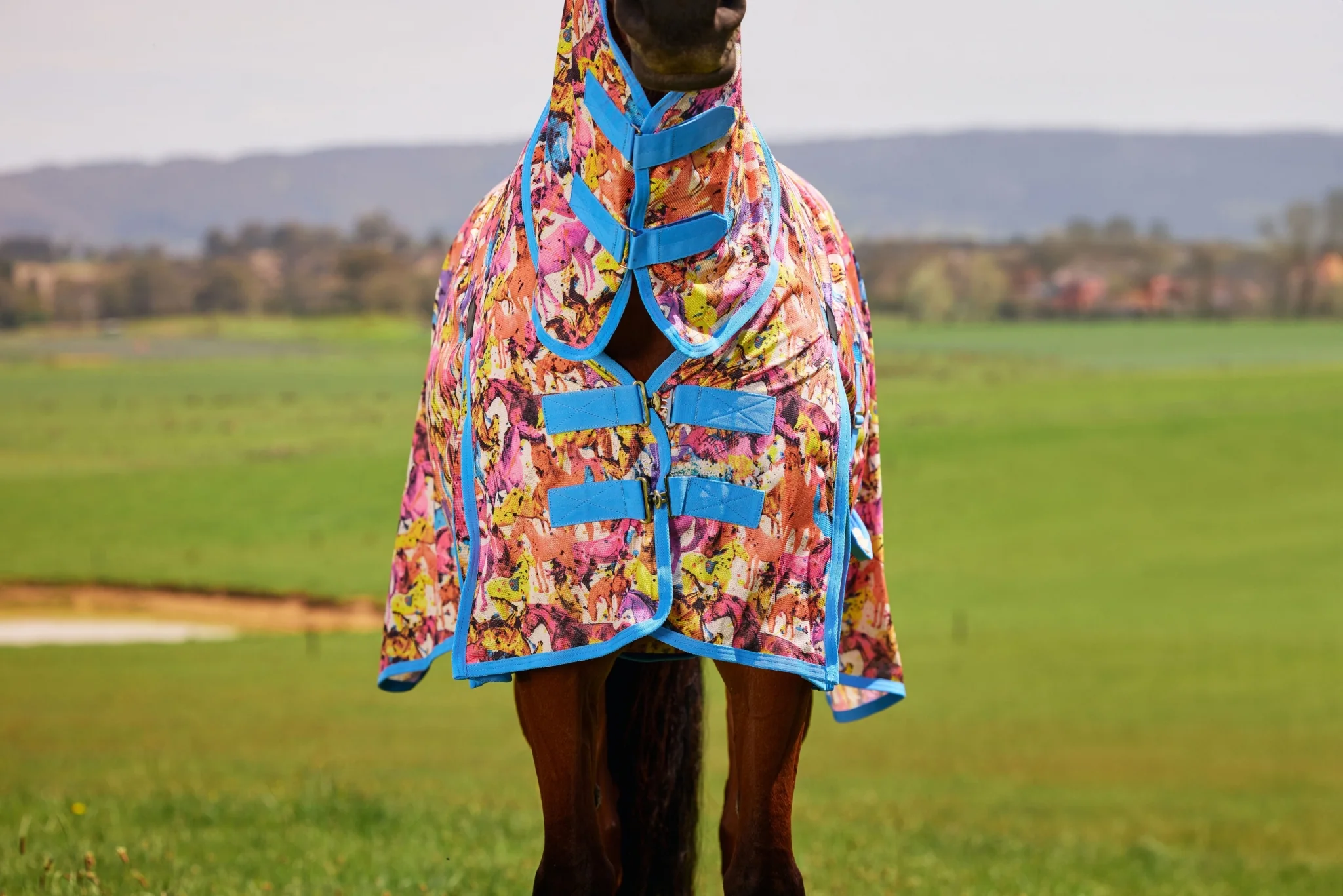 6228-saxon-mesh-combo-neck-fly-sheet-16.webp Saxon Mesh Combo Neck Fly Sheet
