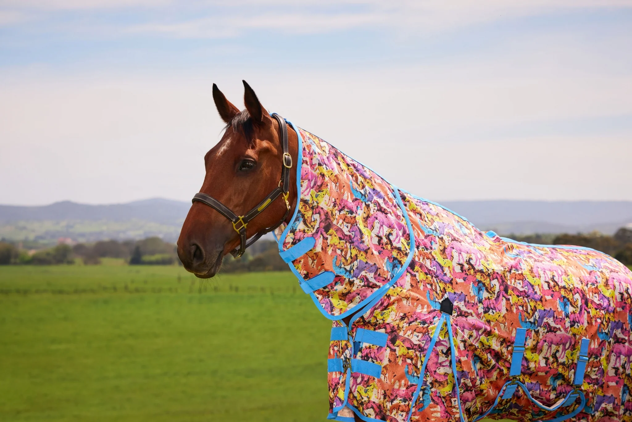 6228-saxon-mesh-combo-neck-fly-sheet-20.webp Saxon Mesh Combo Neck Fly Sheet