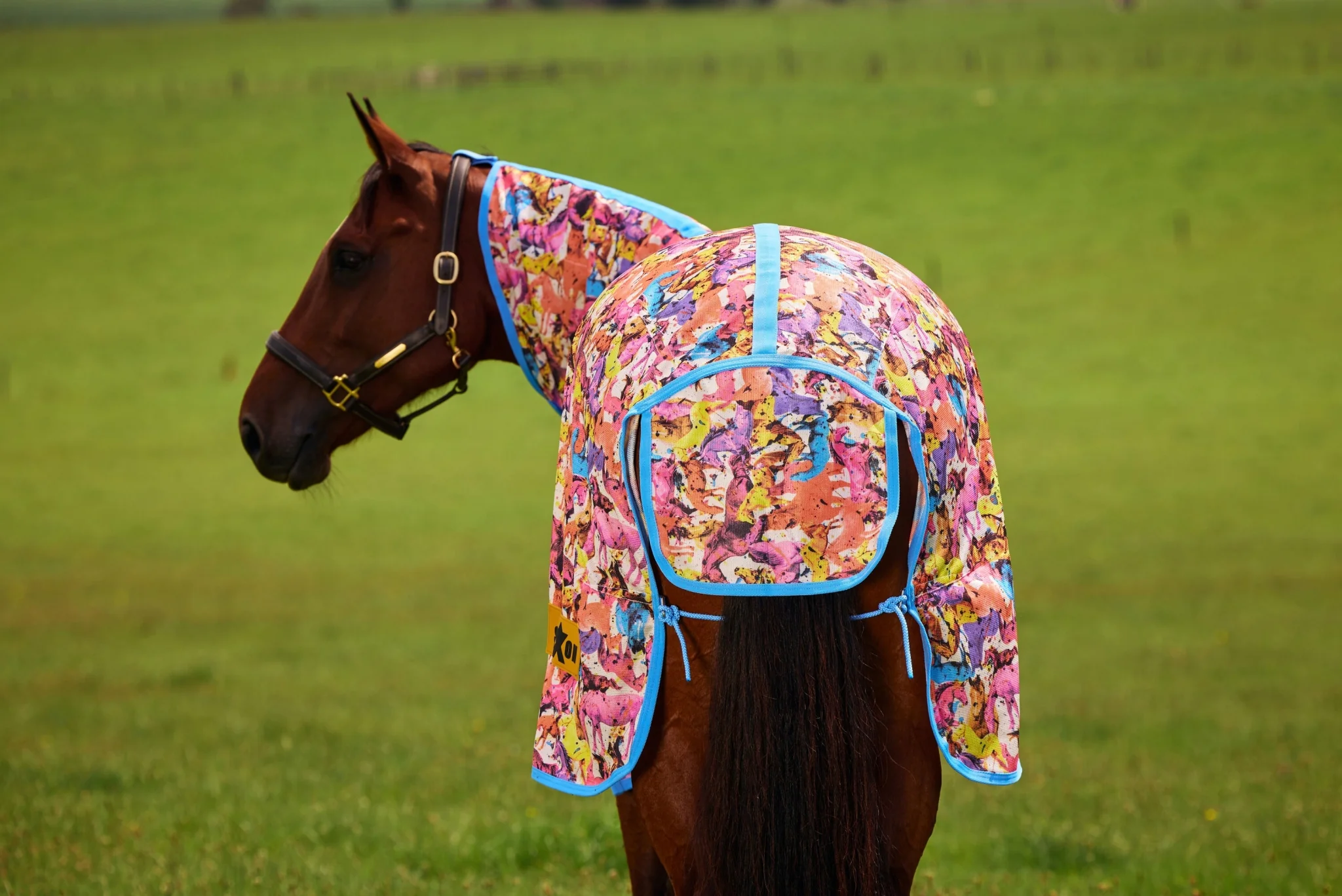 6228-saxon-mesh-combo-neck-fly-sheet-22.webp Saxon Mesh Combo Neck Fly Sheet