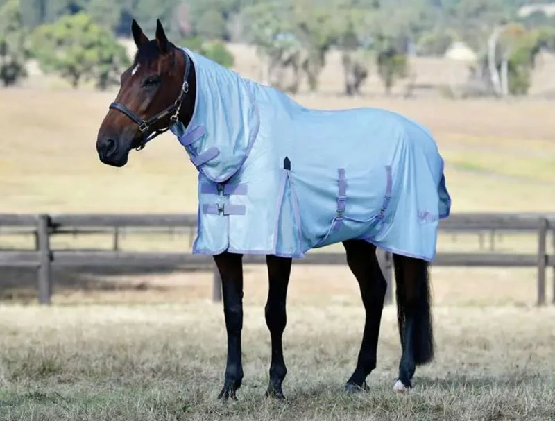 6228-saxon-mesh-combo-neck-fly-sheet-27.webp Saxon Mesh Combo Neck Fly Sheet