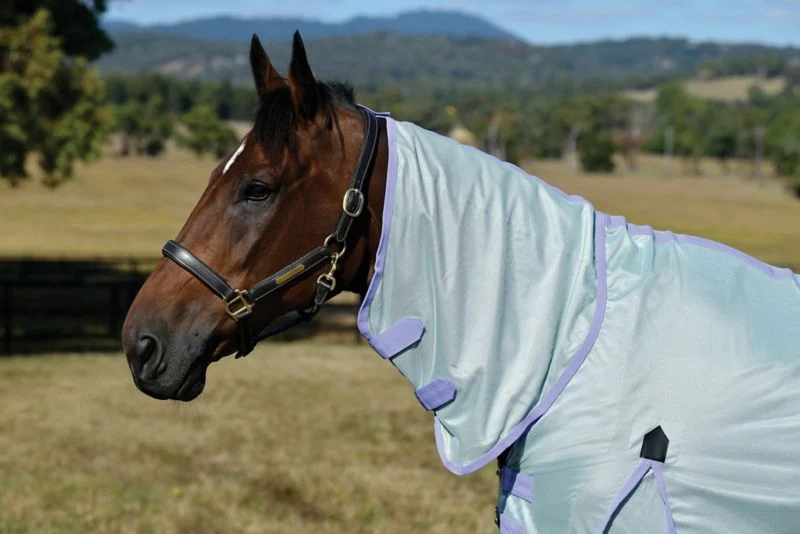 6228-saxon-mesh-combo-neck-fly-sheet-29.webp Saxon Mesh Combo Neck Fly Sheet