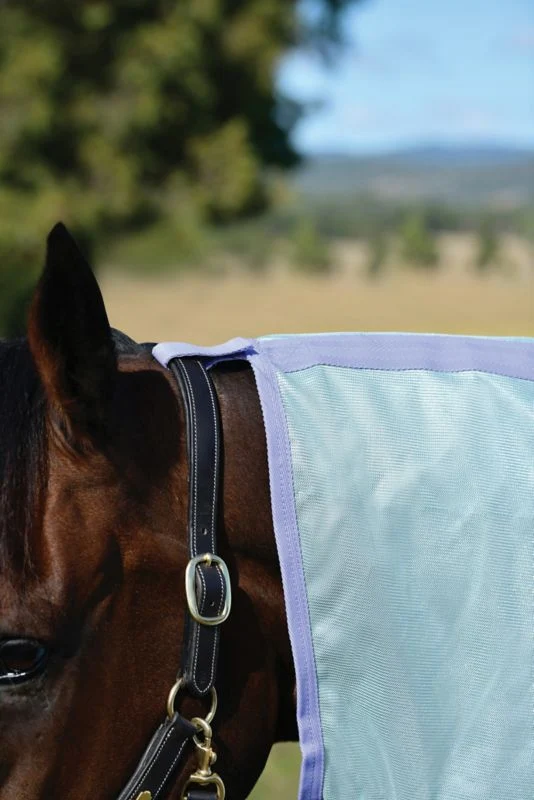 6228-saxon-mesh-combo-neck-fly-sheet-30.webp Saxon Mesh Combo Neck Fly Sheet