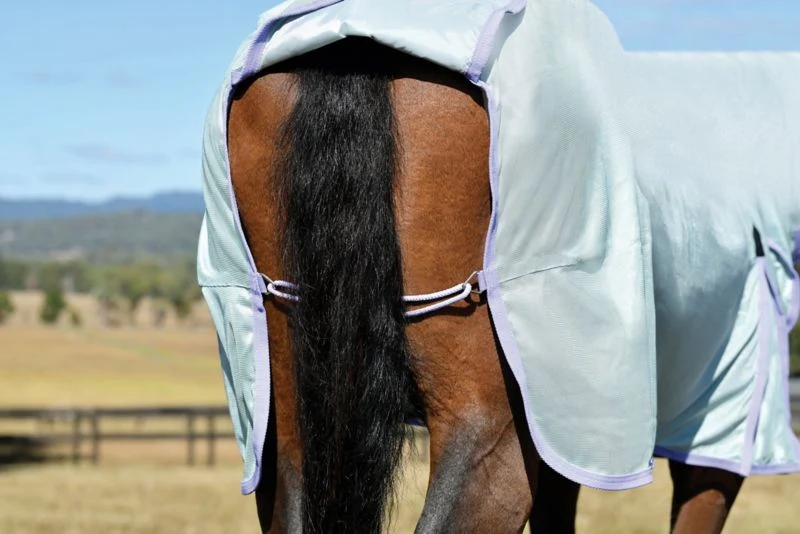 6228-saxon-mesh-combo-neck-fly-sheet-32.webp Saxon Mesh Combo Neck Fly Sheet