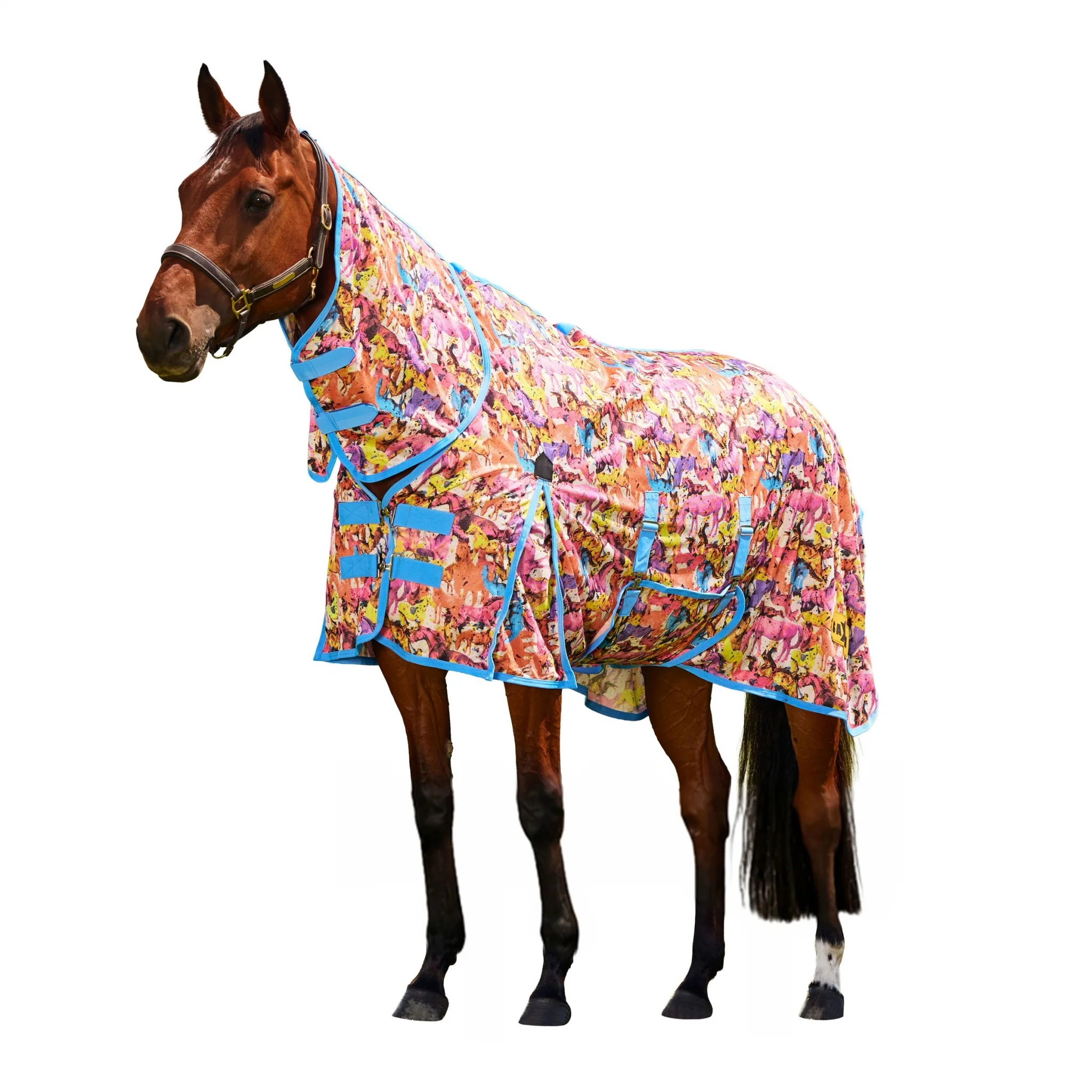 6228-saxon-mesh-combo-neck-fly-sheet-5.webp Saxon Mesh Combo Neck Fly Sheet