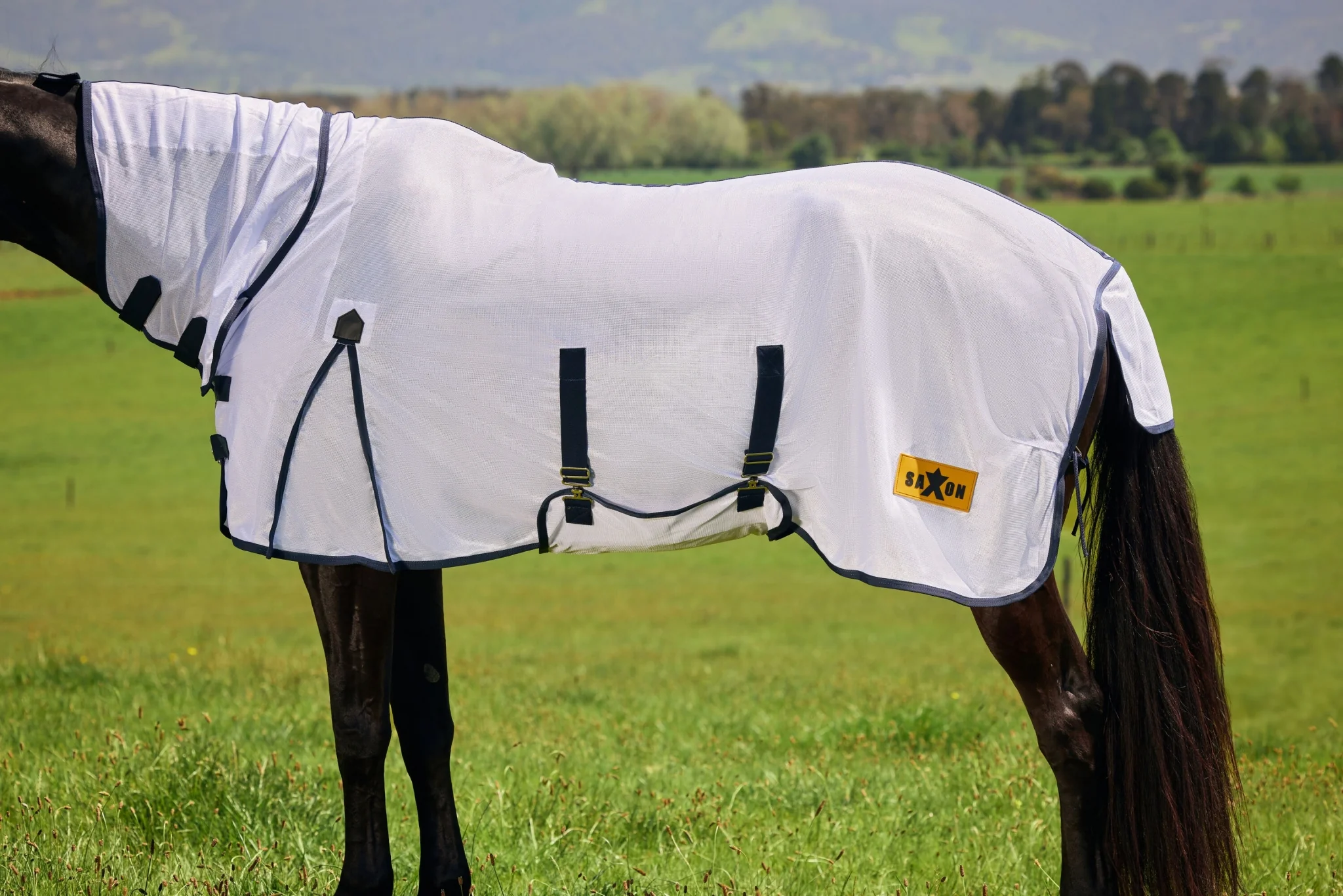 6228-saxon-mesh-combo-neck-fly-sheet-7.webp Saxon Mesh Combo Neck Fly Sheet