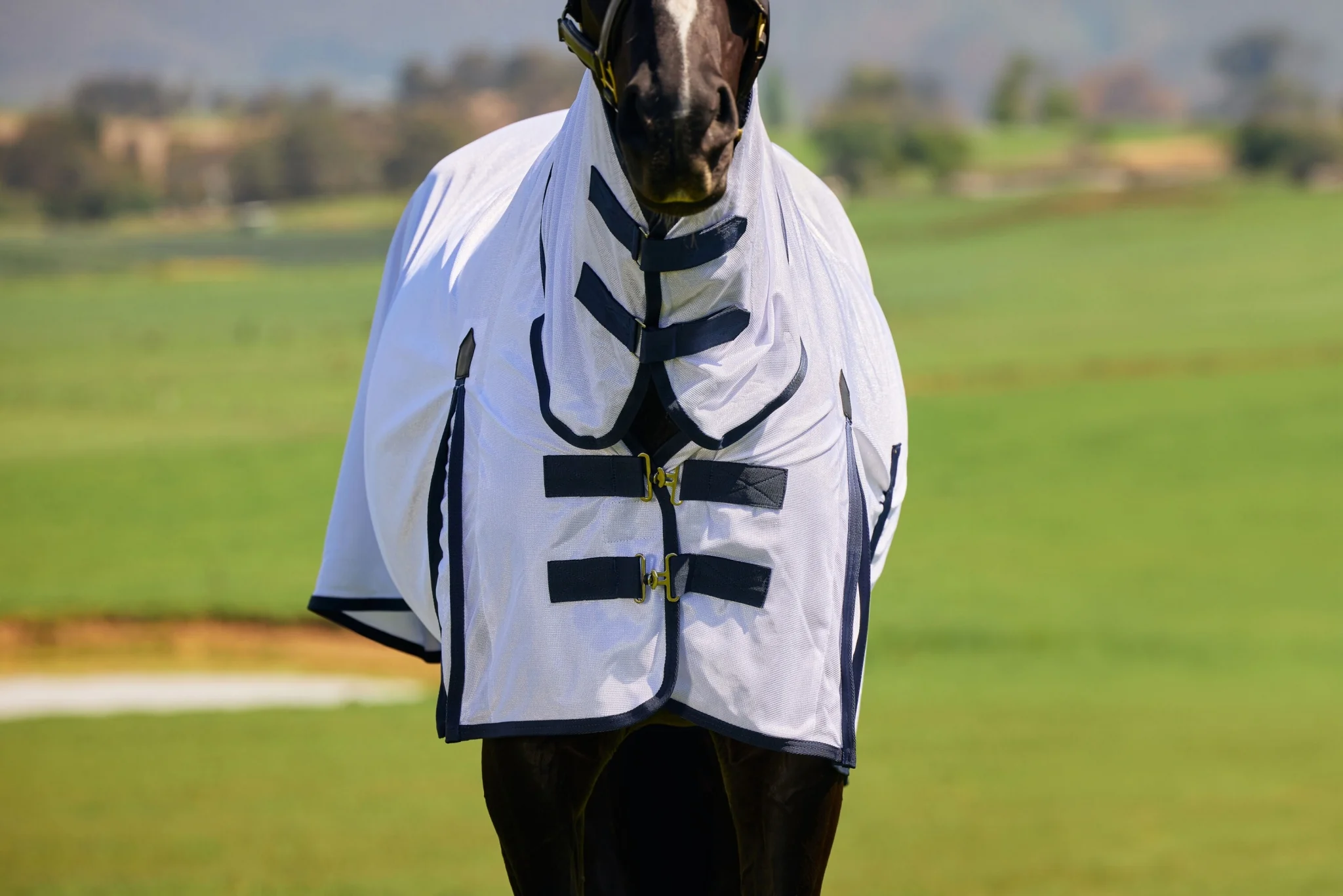 6228-saxon-mesh-combo-neck-fly-sheet-8.webp Saxon Mesh Combo Neck Fly Sheet