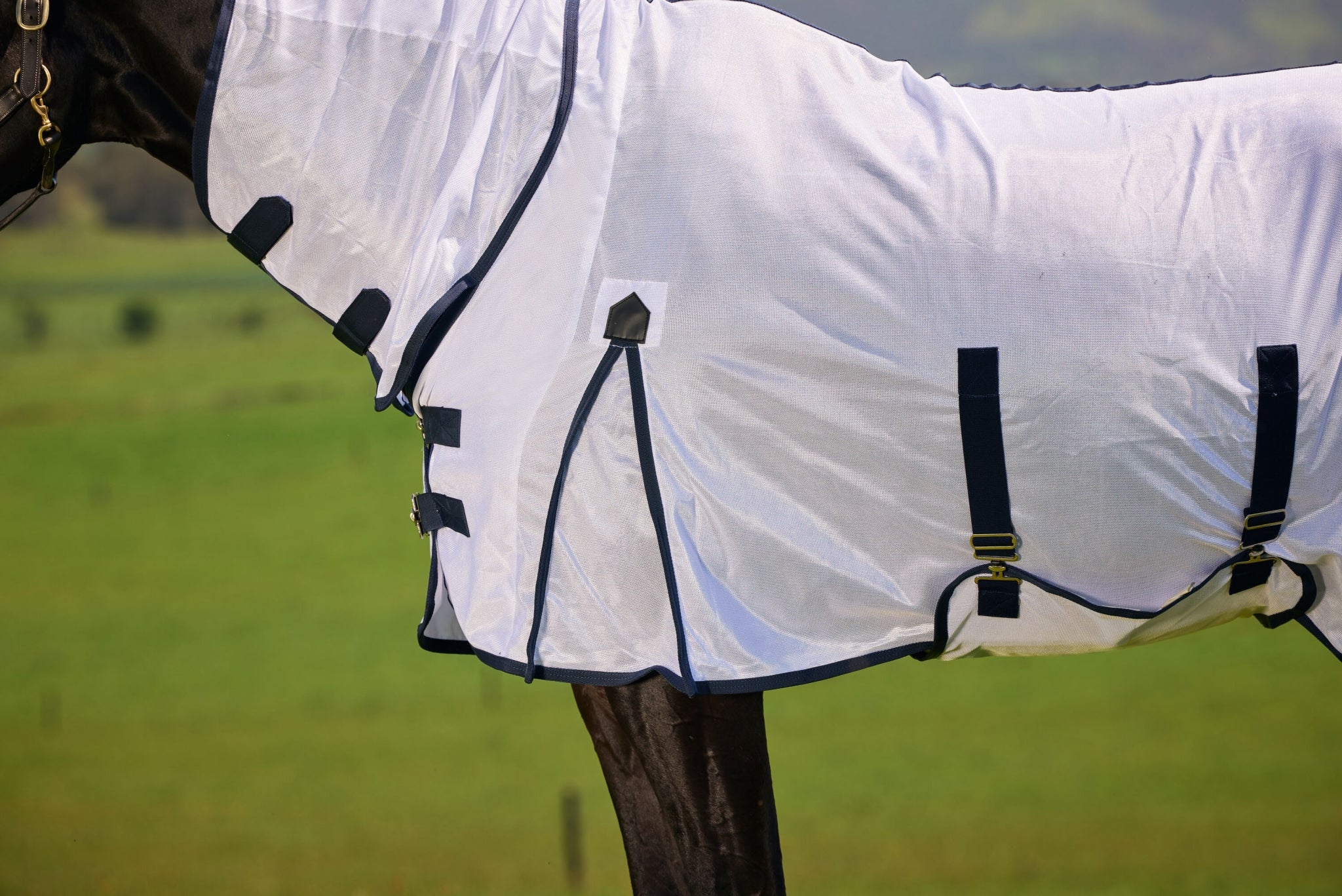 6228-saxon-mesh-combo-neck-fly-sheet-9.jpg Saxon Mesh Combo Neck Fly Sheet