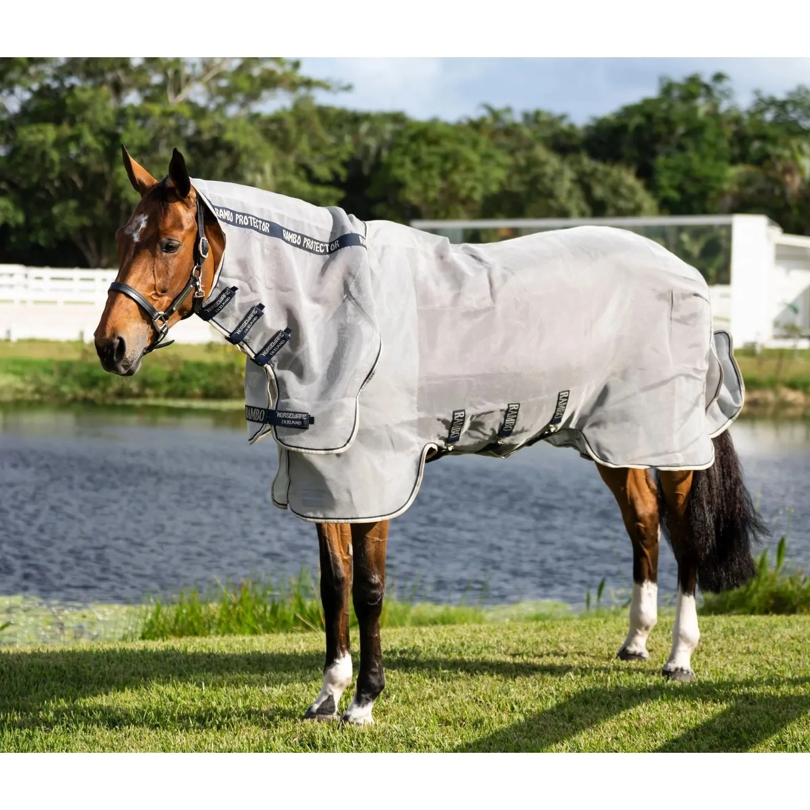 7099-rambo-protector-integrated-fly-sheet-1.webp Rambo Protector Integrated Fly Sheet