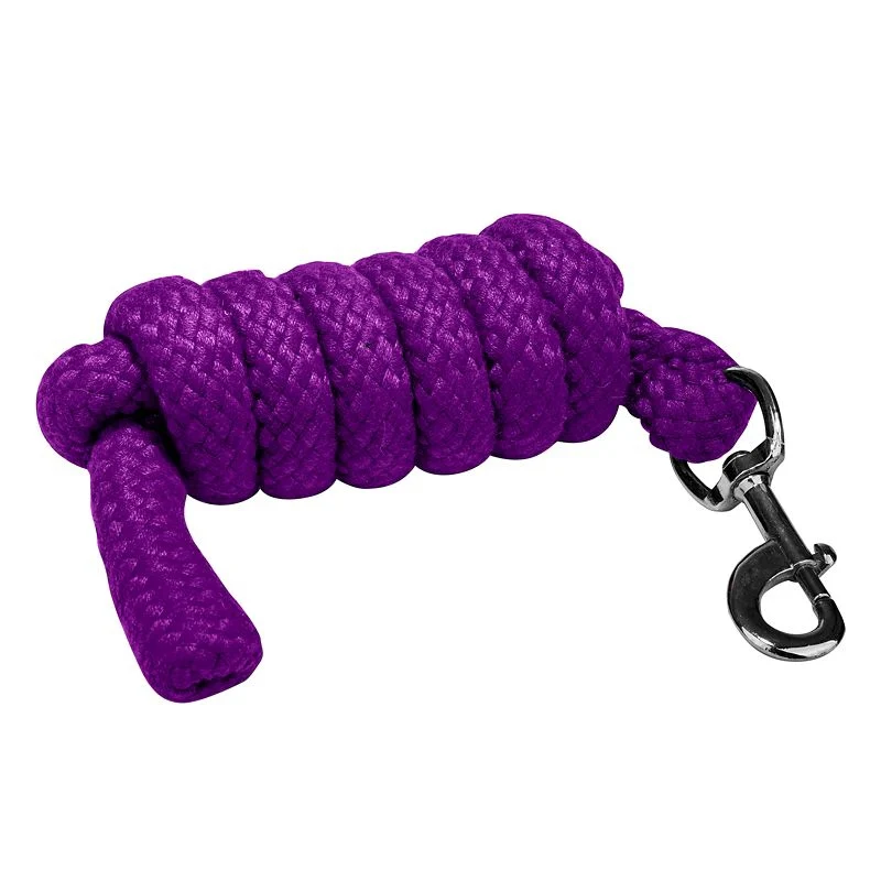 Gatsby Acrylic 6ft Lead Rope