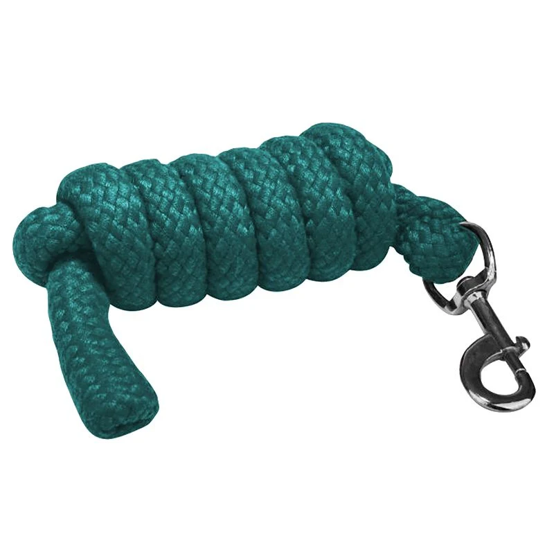 Gatsby Acrylic 6ft Lead Rope