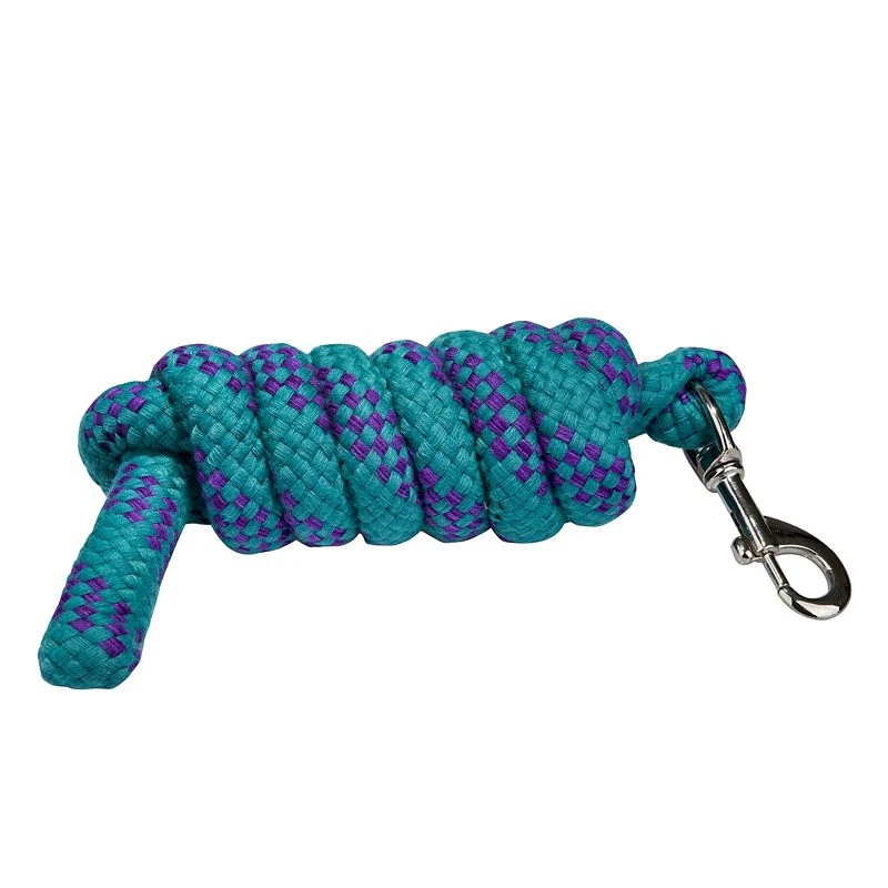 Gatsby Acrylic 6ft Lead Rope