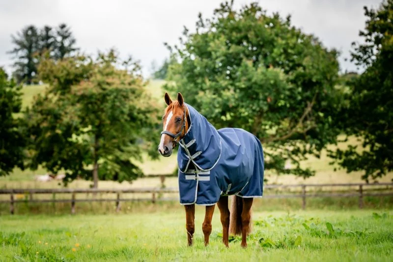 792-amigo-ripstop-900-plus-turnout-0g-10.webp Amigo Ripstop 900 Plus Turnout 0g