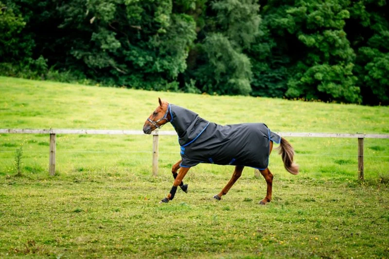 792-amigo-ripstop-900-plus-turnout-0g-4.webp Amigo Ripstop 900 Plus Turnout 0g
