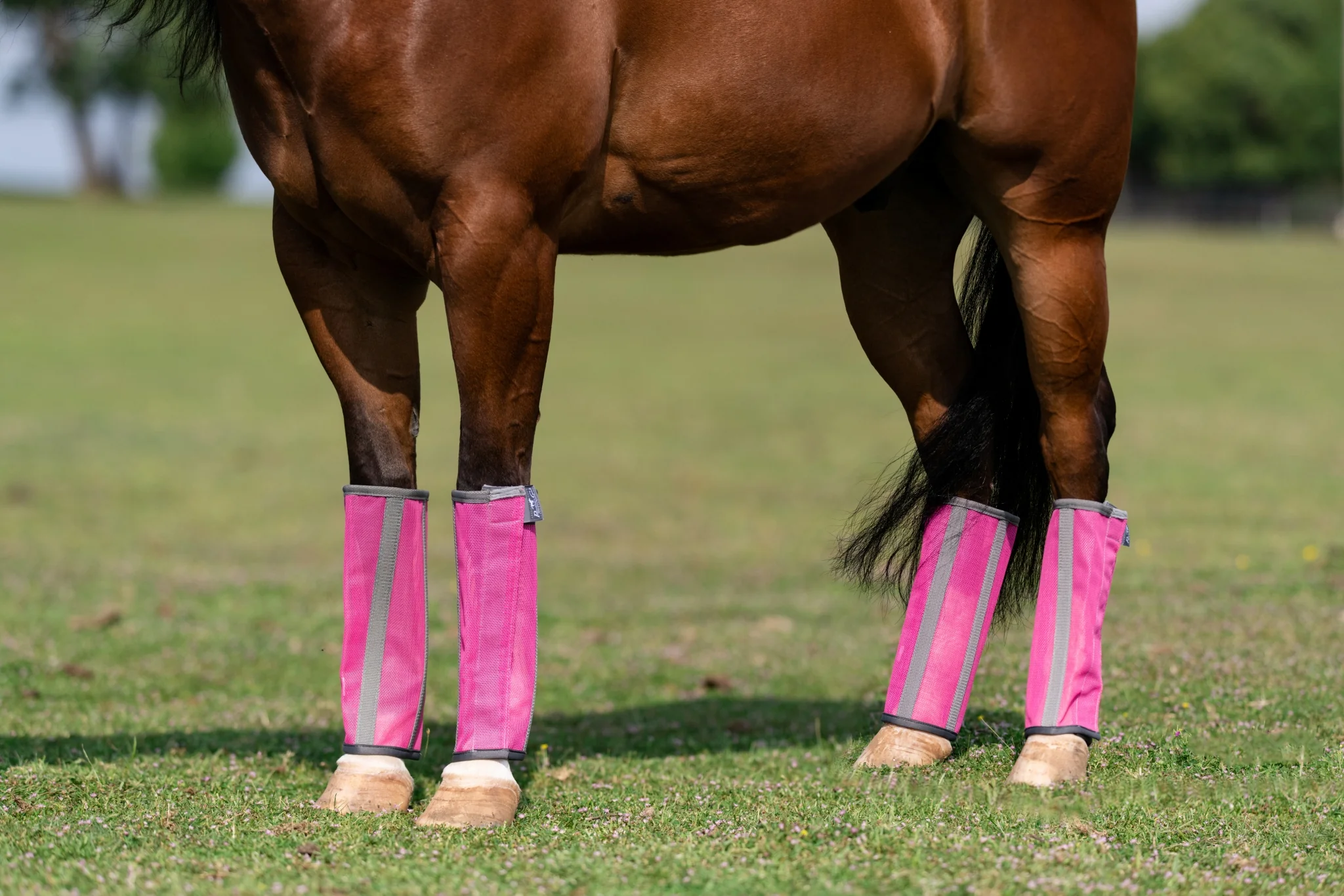 Professionals Choice Deluxe Fly Boots - 4 Pack