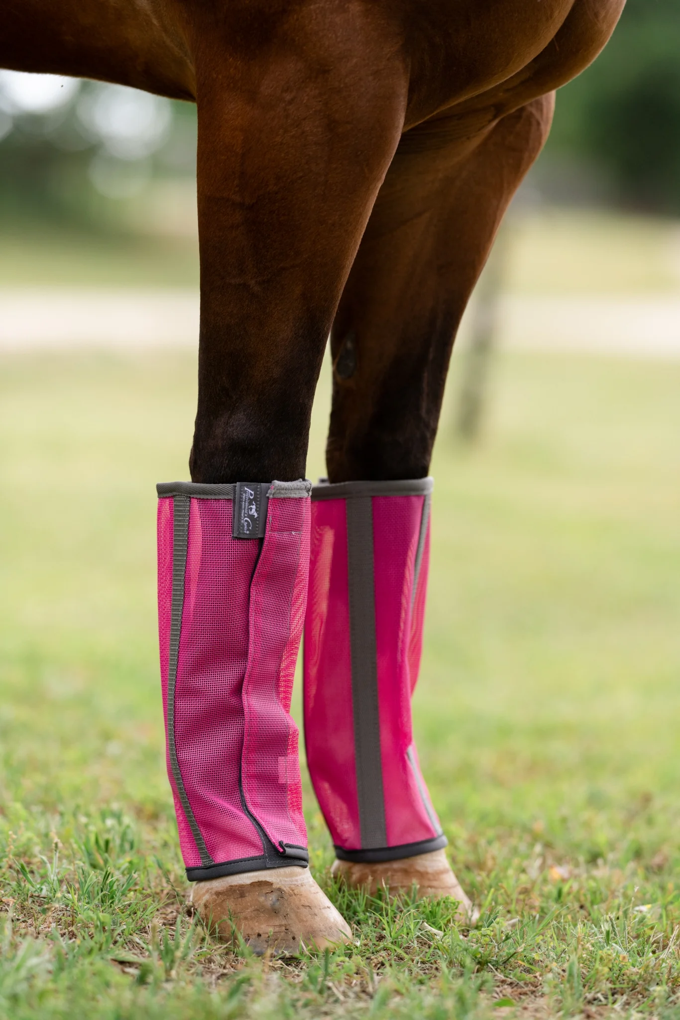Professionals Choice Deluxe Fly Boots - 4 Pack