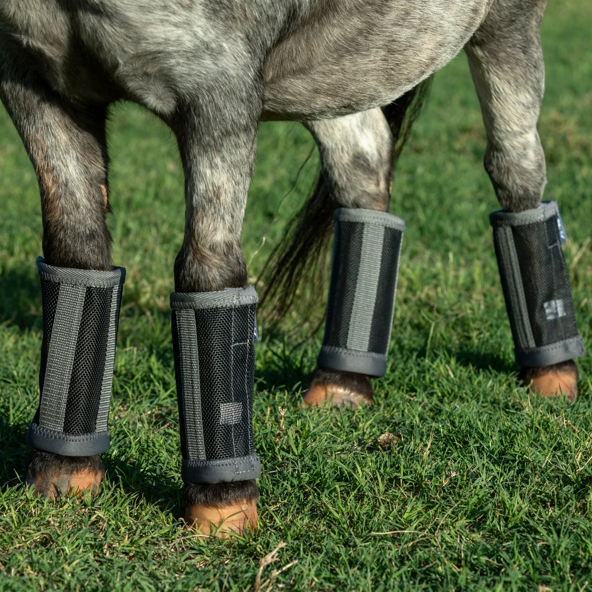 Professionals Choice Deluxe Fly Boots - 4 Pack