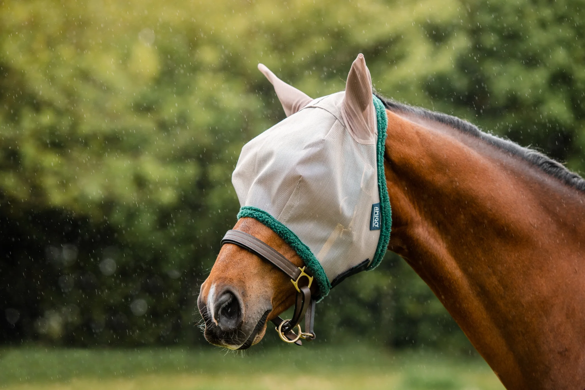 Rambo Flymask