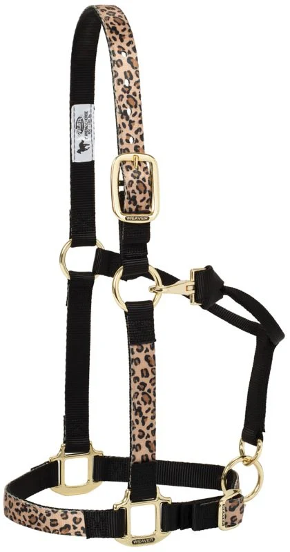 8132-weaver-1-patterned-adjustable-halter-11.webp Weaver 1" Patterned Adjustable Halter