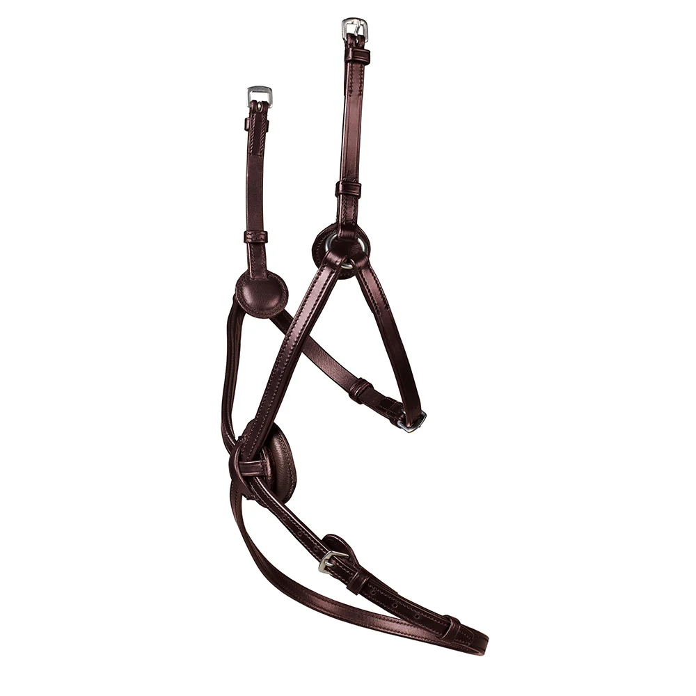 879-arena-grackle-bridle-2.webp Arena Grackle Bridle