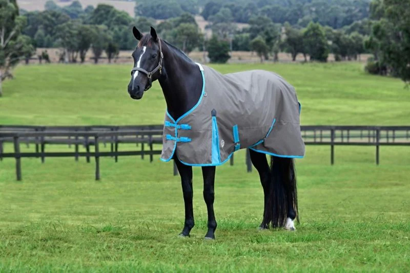 Weatherbeeta ComFiTec Classic Standard Neck Lite