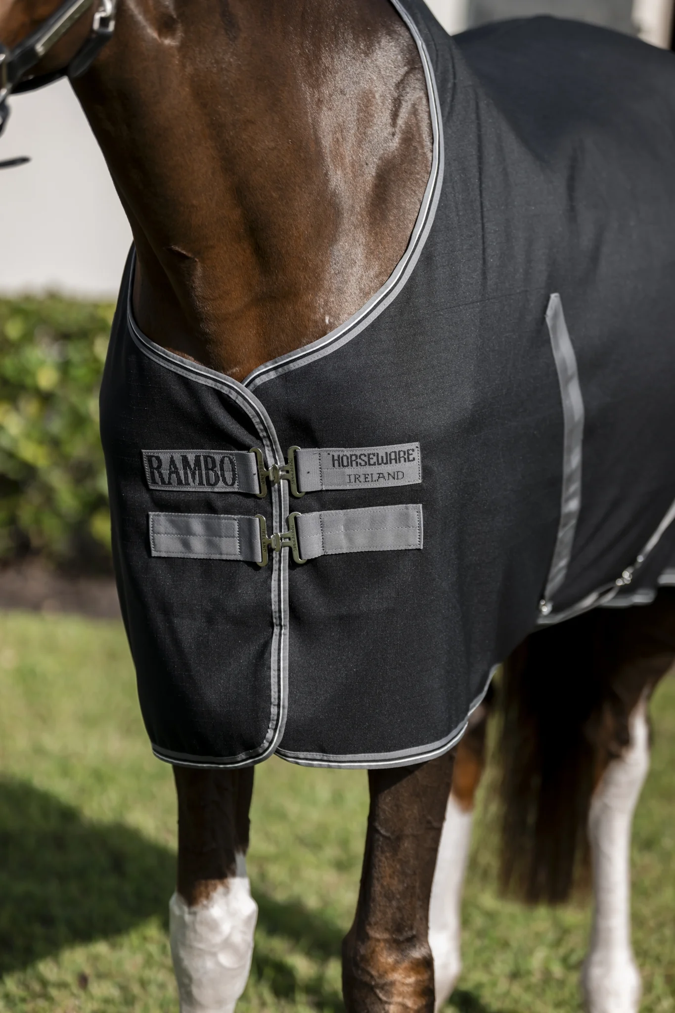 9215-rambo-stable-sheet-with-microfiber-lining-0g-light-10.webp Rambo Stable Sheet with Microfiber Lining (0g Light)