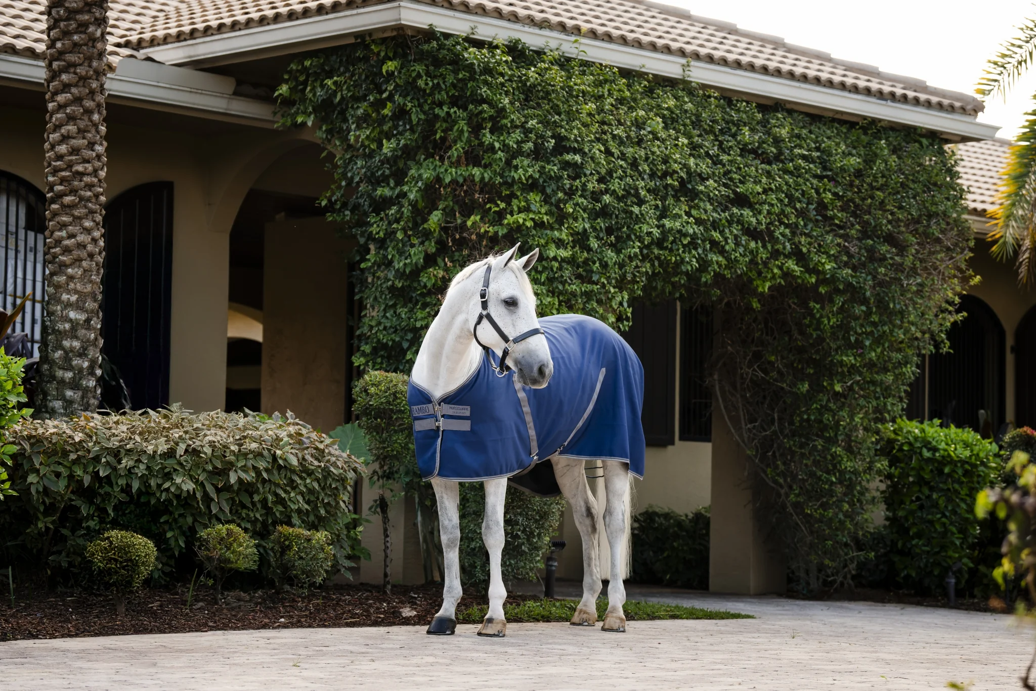 9215-rambo-stable-sheet-with-microfiber-lining-0g-light-3.webp Rambo Stable Sheet with Microfiber Lining (0g Light)