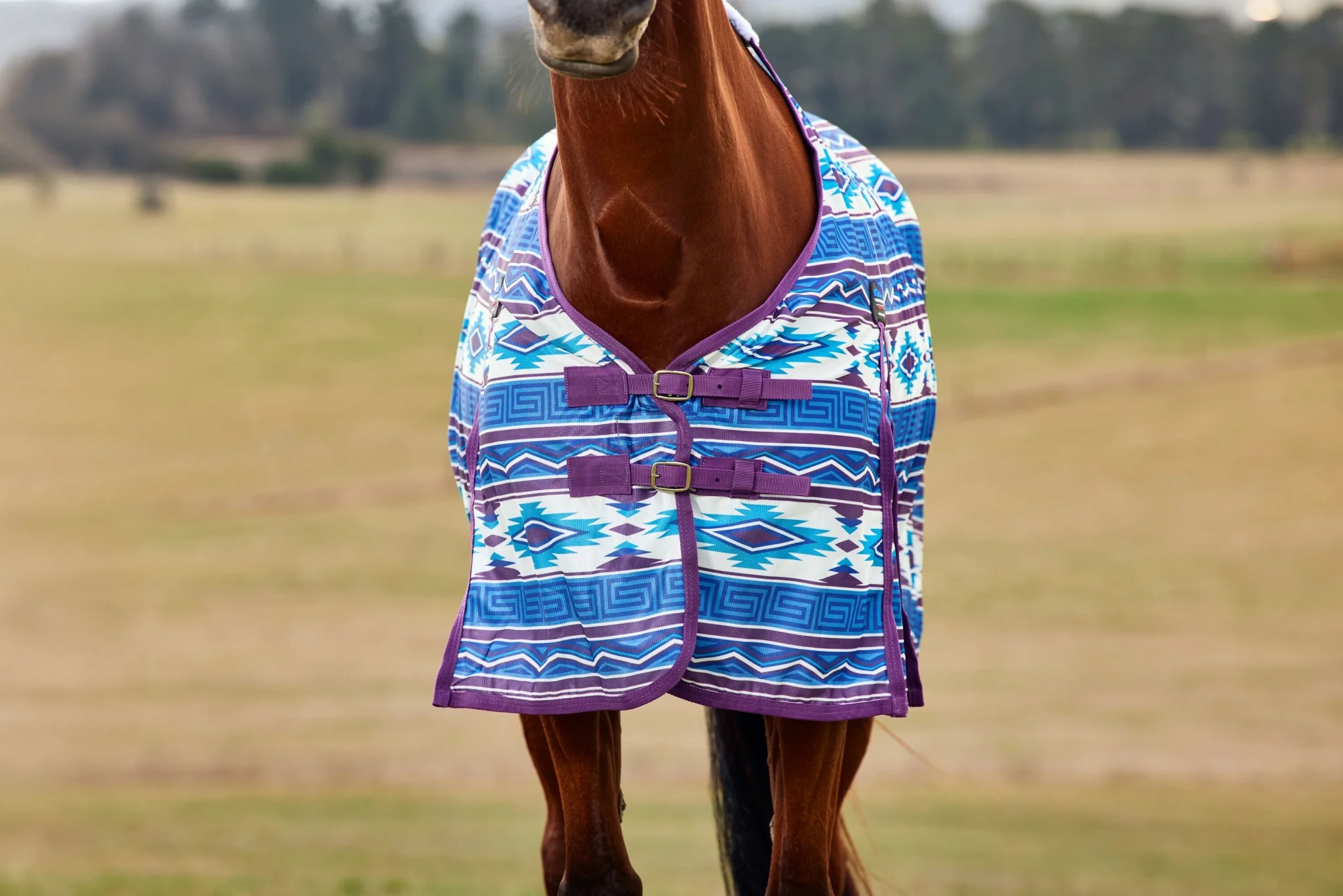9477-weatherbeeta-comfitec-essential-fly-sheet-10.webp Weatherbeeta ComFiTec Essential Fly Sheet